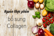 Các nguồn thực phẩm bổ sung Collagen lành mạnh