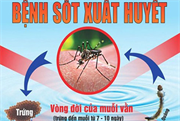 Cách phòng bệnh Sốt xuất huyết