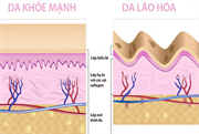 Độ tuổi nào bắt đầu bổ sung Collagen?