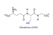 Glutathione - chất chống oxy hóa mạnh nhất cơ thể
